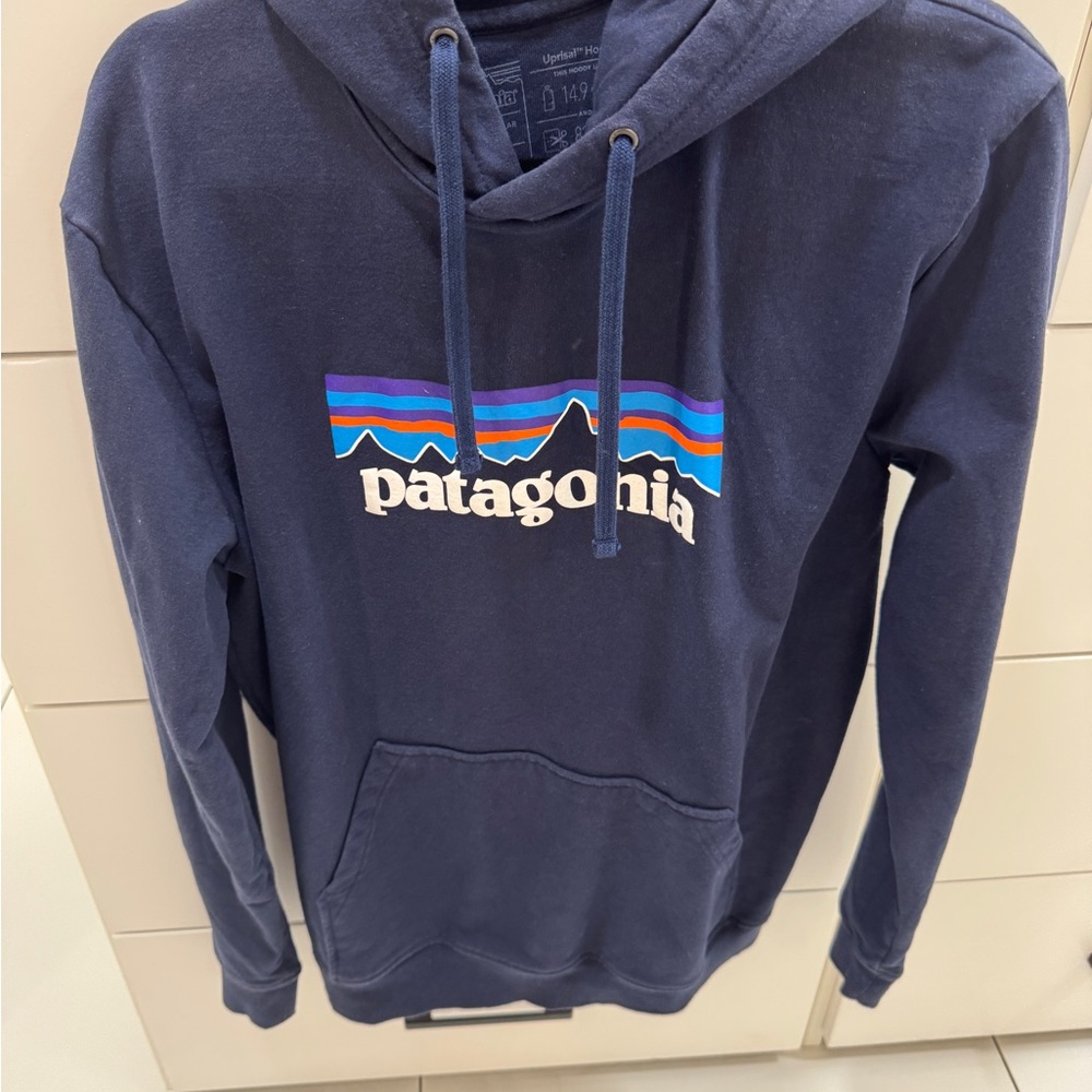 Patagonia Men's Blue Hoodie with Logo